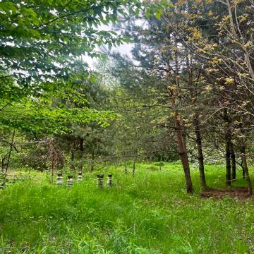 Поршна, Львівський, Львівська область 8000.0 USD