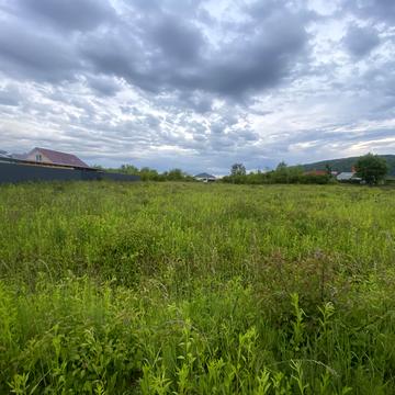 Невицьке, Ужгородський, Закарпатська область 18000.0 USD