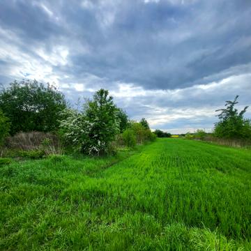 Оброшине, Львівський, Львівська область 1300.0 USD
