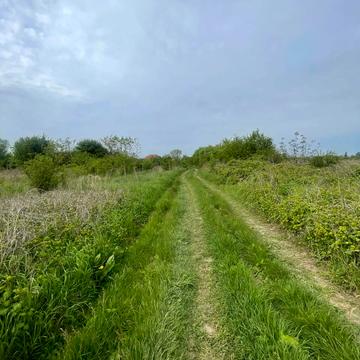 Православна набережна, Ужгород, Закарпатська область 8500.0 USD