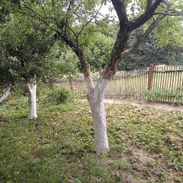 Молодіжна вул.