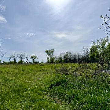 Гостомель, Бучанський, Київська область 12000.0 USD