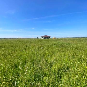 Ботфалва, Ужгородський, Закарпатська область 7000.0 USD