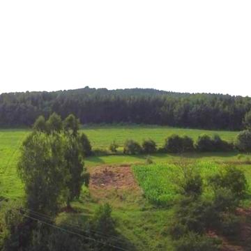 Центральна, 1