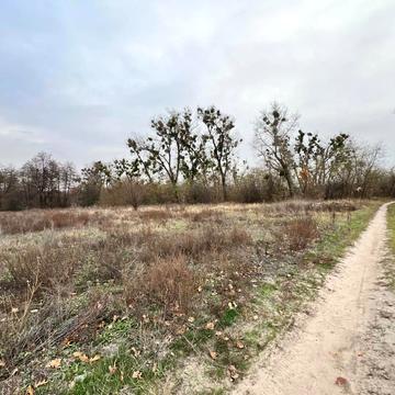 Міський парк, Буча, Бучанський, Київська область 626000.0 USD