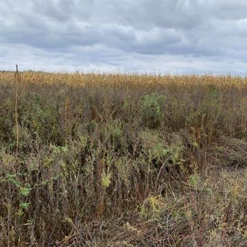 Супрунівка, Полтавський, Полтавська область 1500000.0 USD