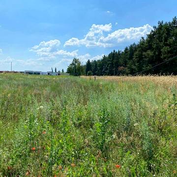 Лебедівка, Вишгородський, Київська область 16000.0 USD