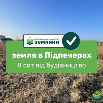 Стуса