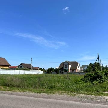 Виноградна