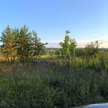 Нове, Фастівський, Київська область 146000.0 USD