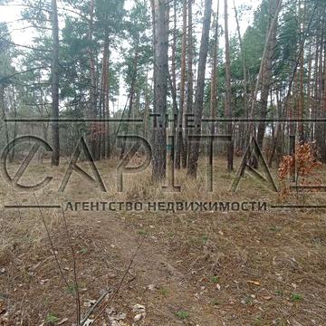 Плюти, Обухівський, Київська область 460000.0 USD
