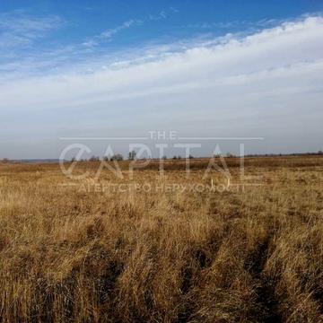 Сувид, Вишгородський, Київська область 111000.0 USD