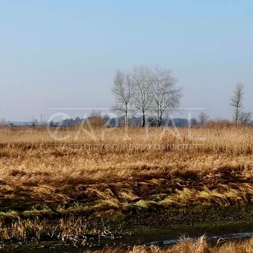 Сувид, Вишгородський, Київська область 277500.0 USD