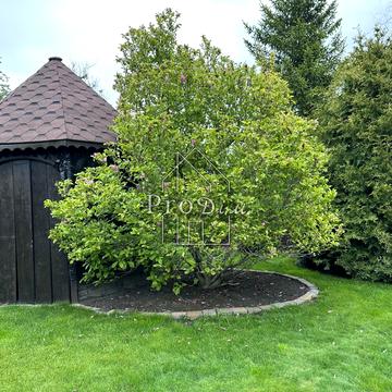 Сулимівка, Бориспільський, Київська область 14700.0 USD