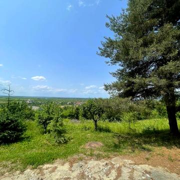 Барвінок, Ужгородський, Закарпатська область 54000.0 USD