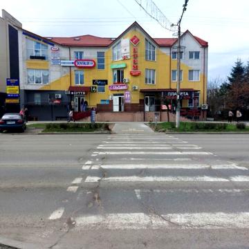 Олени Пчілки вул., 6