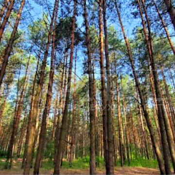 Ясногородка, Вишгородський, Київська область 882000.0 USD