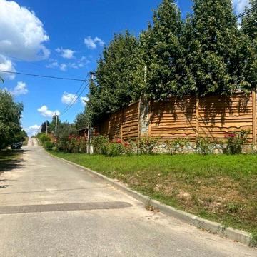 Лісова