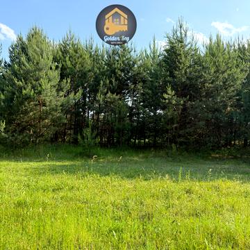 Гнідин, Бориспільський, Київська область 90000.0 USD