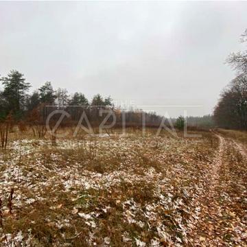 Нова пошта, Білогородка, Бучанський, Київська область 135380.0 USD