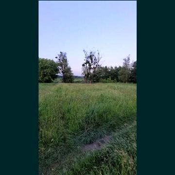 Княжичі, Фастівський, Київська область 10700.0 USD