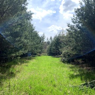 Ясногородка, Фастівський, Київська область 24000.0 USD