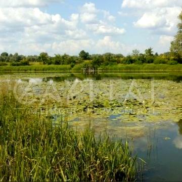 Крехаїв, Чернігівський, Чернігівська область 90000.0 USD