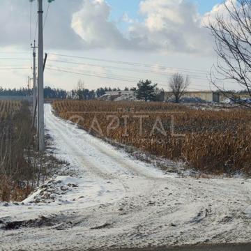 Шпитьки, Бучанський, Київська область 179300.0 USD