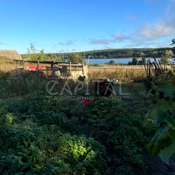 Забіря, Фастівський, Київська область 80000.0 USD