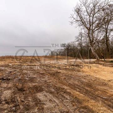 Старі Петрівці, Вишгородський, Київська область 1650000.0 USD