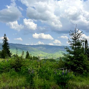 Волосянка, Стрийський, Львівська область 75000.0 USD