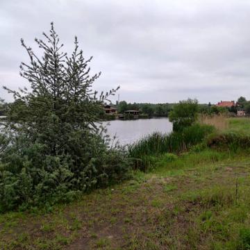 Вишнева