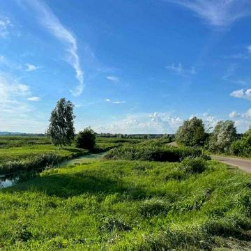 Нові Безрадичі, Обухівський, Київська область 3200000.0 USD