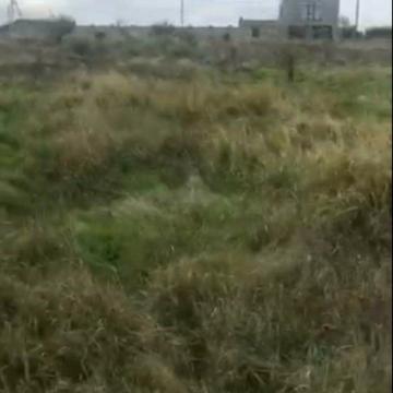 Степовая