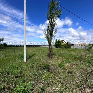 Тополинна, 55