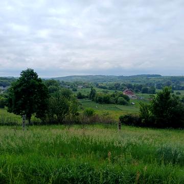 Промінська