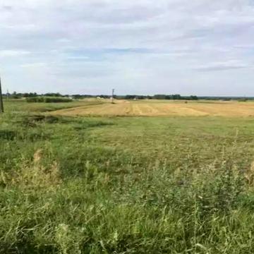 Княжичі, Фастівський, Київська область 17000.0 USD