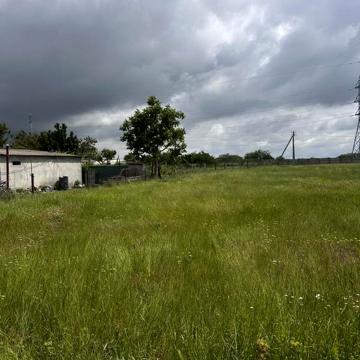 Визирка, Одеський, Одеська область 8000.0 USD