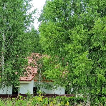 Лайнер