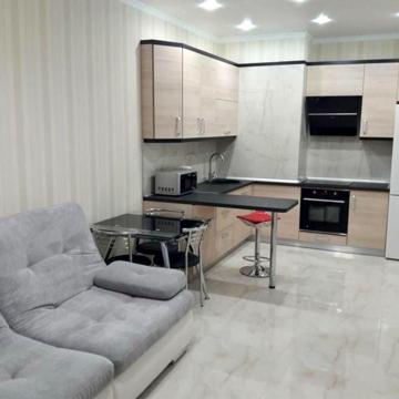 Аренда 1к квартира Аркадия Литературная Каманина 35 Жемчужина