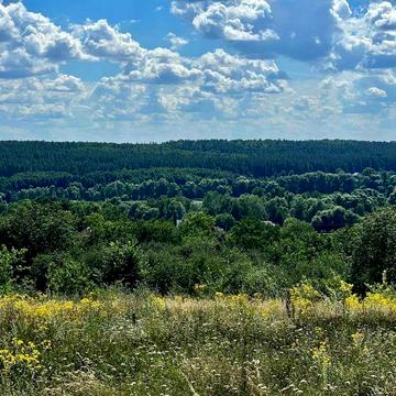 Здорівка, Обухівський, Київська область 30000.0 USD