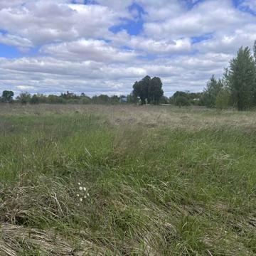Займище, Бориспільський, Київська область 25000.0 USD