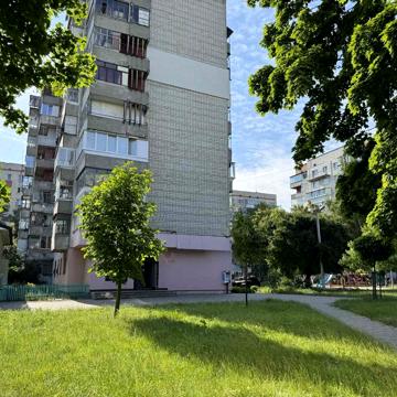 Тараса Шевченка вул., 350