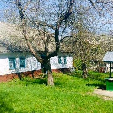 Будинок в с. Княжпіль