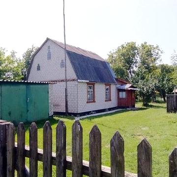 Продам будинок с. Мохначка, Попільнянський район
