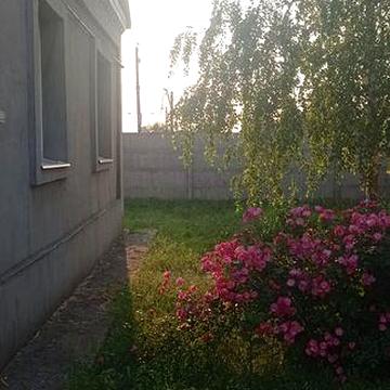Продам дом в Подгороднем,76м2,на зем. уч. 0.109га,ул.Жовтнева228