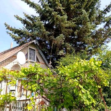 Продам дачу Харківська обл.  с.Ржавець  СТ "23 серпня"  10000 у.е.   M