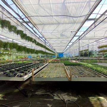 Патруса-Карпатського вул., 28
