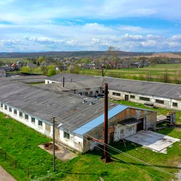 Українська, 100