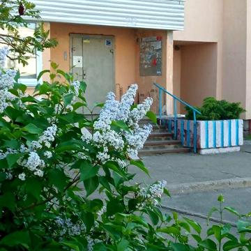 Ціна знижина, продажа квартири